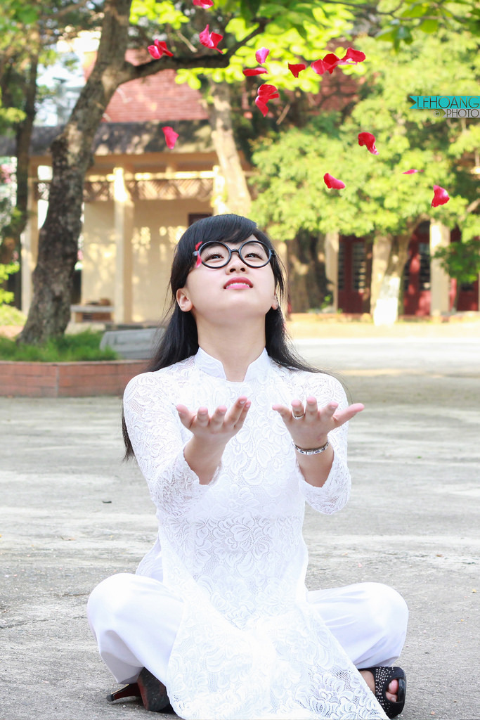 87版七仙女台湾